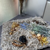 boB the garden Ginza - 