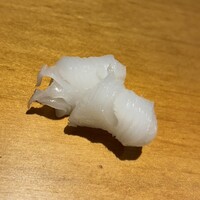 鮨たか山 - アオリイカ