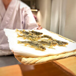 Tempura Sakurabito - 