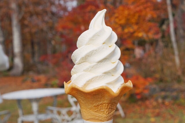 アイスクリーム 珈琲ショップのソフトクリーム♡ | いんげんlove