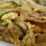 Tenhou - 肉と玉葱と唐辛子の癖になる味の特丼