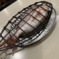 anchoa - 真鯛
