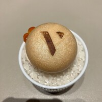 スガラボヴィー - 