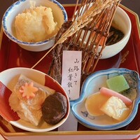 山茶花 - 