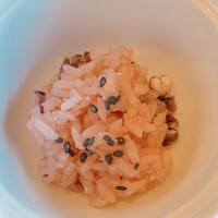 山茶花 - 