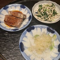 雪梅花 菜根譚 - 
