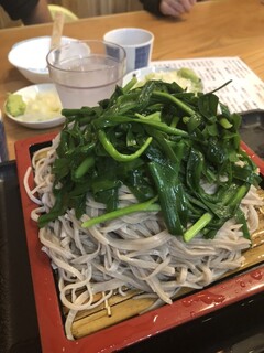 Miyairi Soba - 