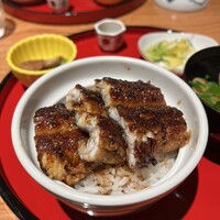 炭焼 うな富士 有楽町店 - 
