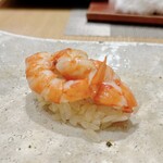 Sushi Gaku - コマキエビ