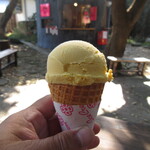 くろすけジェラート - 佐久島ご近所かぼちゃ 500円(税込)　(2023.11)