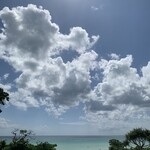 ブルータートル - 