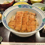 五代目 野田岩 銀座 - まぶし御膳