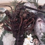 うつみ - 伊勢エビ（お刺身）