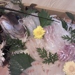 うつみ - 鯛（お刺身）