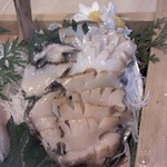 うつみ - あわび（お刺身）