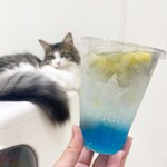 Cat Cafe MOFF イオンモール豊川店 - 