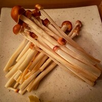 トラマキダケ