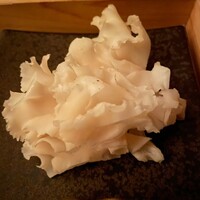 ハナビラダケ