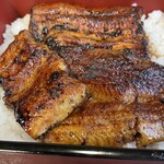 Unagi Ryouriatsumi - 