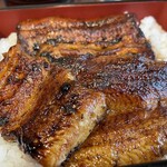 Unagi Ryouriatsumi - 