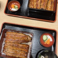 うなぎ割烹 白金台 まつ本 - 