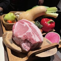 オッジ ダルマット 西麻布店 - 