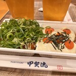 甲賀流 - ハーフ&ハーフ730円
            ねぎソース、明太チーズマヨ