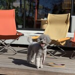 SHOZO COFFEE KARUIZAWA - 