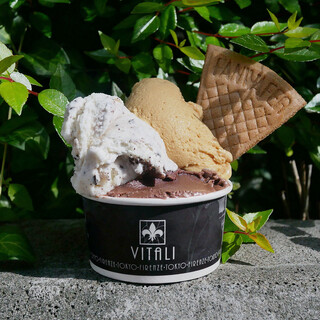 ジェラテリア・ヴィタリ_1