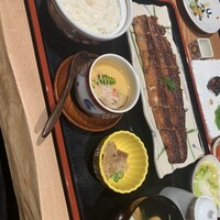 炭焼 うな富士 有楽町店 - 
