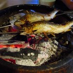 しのはら - 長良川の天然鮎