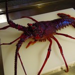 しのはら - えびちゃんが