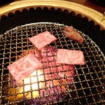 金陵苑  - 2023 11/4