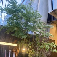 焼肉㐂舌 南船場 - 