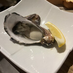 都立 Oyster KAIRI - 