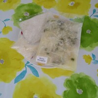 cenci - 