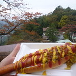 Takaosankicchimmusasabi - 高尾の登山道を背景に