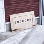 Raccoon - 