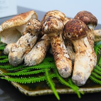 日本料理 TOBIUME - 松茸いっぱい。