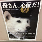 焼肉問屋 牛蔵 - 白い犬が警官に！この後、霊園でおまわりさんに遭遇。珍しく相手にしてもらえませんでした。ちょぴり寂しかった。