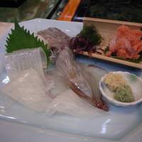 稚加榮 本店 - いか活け造り