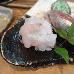 鮨 笹元 - 真鯛のたたき