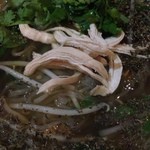 イムイェム - フォーです