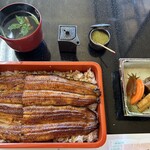 駿河屋 - 本日の特選鰻 うな重（静岡県大井川水系との事）