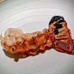 蒼 - お皿を見た瞬間に思わず「デカッ!!」　この日揚がった、最大の8匹がここにそろっておりました。間違いなく世界一のビスクに浸して頂来、時よ止まれ！と思う。