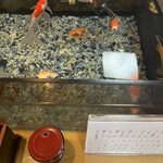 そば処 緑寿庵 - 