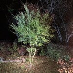 四季のあじわい 松籟亭 - 