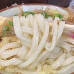 Ohara Udon - 