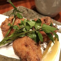 鳥ばか一代 - 