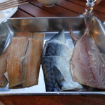 山太 - メインの干物、太刀魚、鯖、鰺